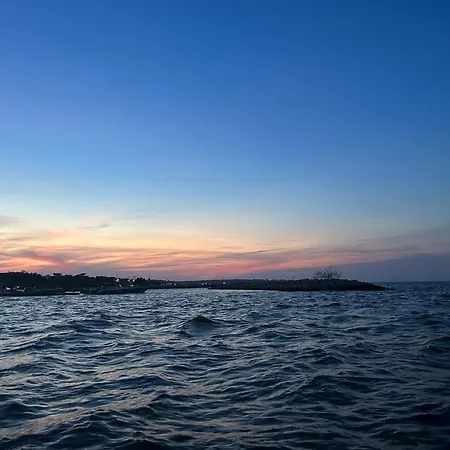 Punta Arena Ecohostal And Ecofit An Eco-friendly Oasis For Adventurous Explorers And Serenity Seekers01 * Cartagena