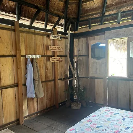 Punta Arena Ecohostal And Ecofit An Eco-friendly Oasis For Adventurous Explorers And Serenity Seekers01