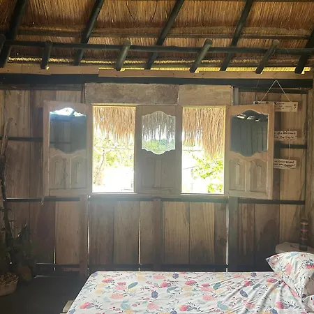 Punta Arena Ecohostal And Ecofit An Eco-friendly Oasis For Adventurous Explorers And Serenity Seekers01 Pensión Cartagena