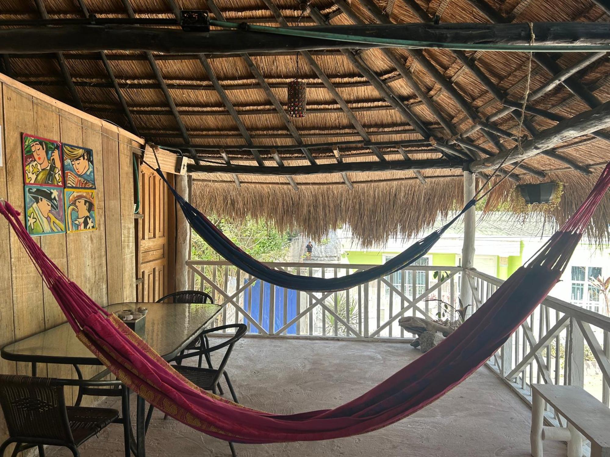 Punta Arena Ecohostal And Ecofit An Eco-friendly Oasis For Adventurous Explorers And Serenity Seekers01 Pensión *