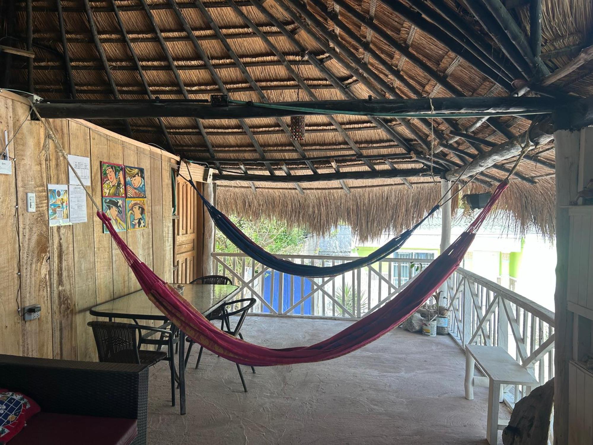 Punta Arena Ecohostal And Ecofit An Eco-friendly Oasis For Adventurous Explorers And Serenity Seekers01 Pensión Cartagena