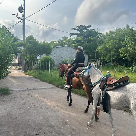 Pensión Punta Arena Ecohostal And Ecofit An Eco-friendly Oasis For Adventurous Explorers And Serenity Seekers01 Cartagena