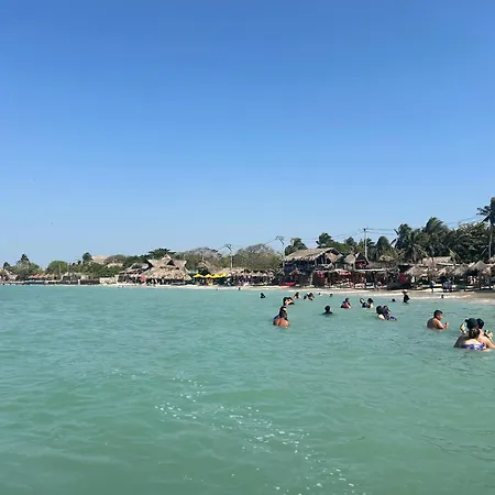 Punta Arena Ecohostal And Ecofit An Eco-friendly Oasis For Adventurous Explorers And Serenity Seekers01 Pensión Cartagena